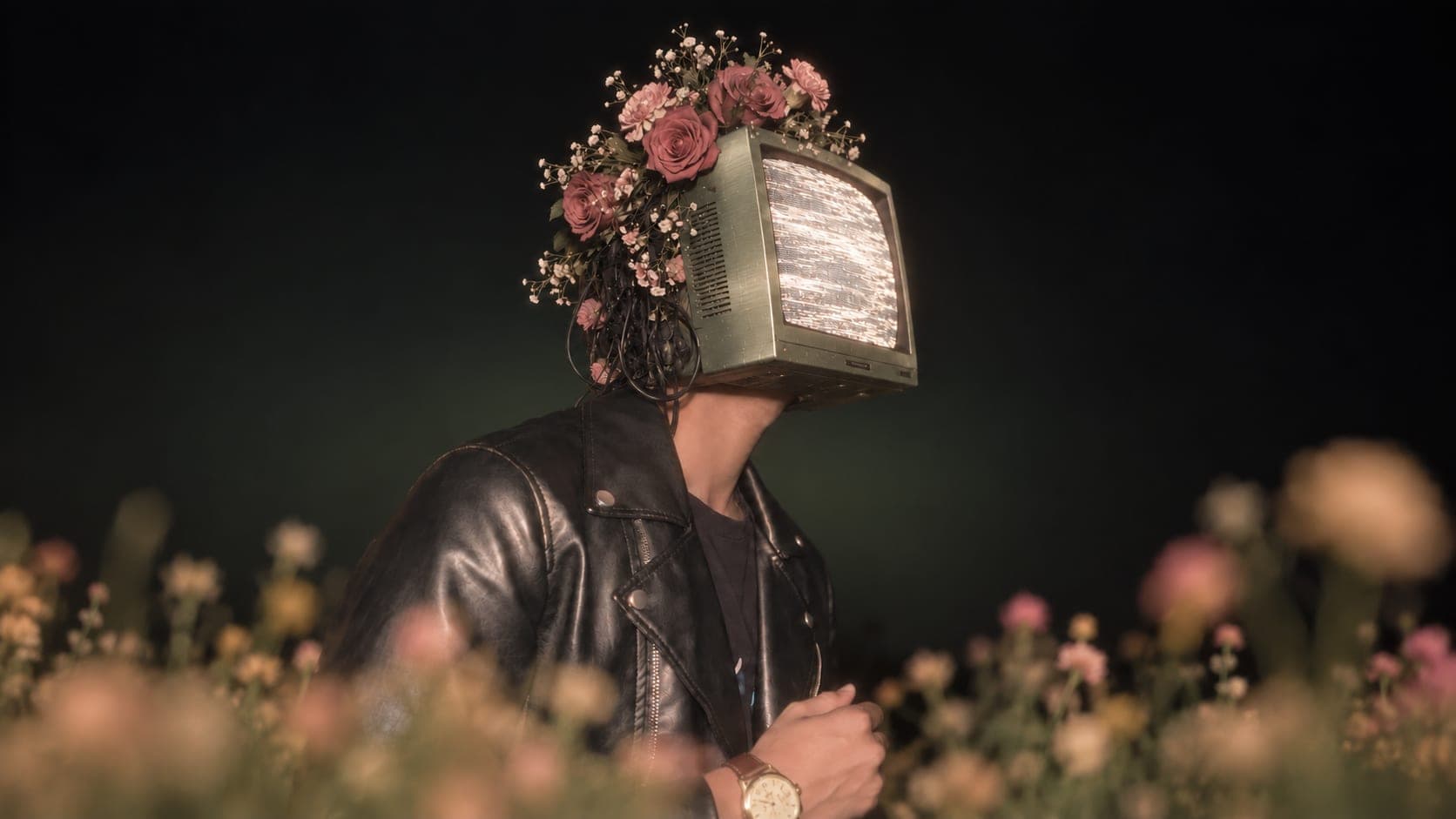 A figure with a vintage TV for a head, crowned with roses, standing in a field of flowers